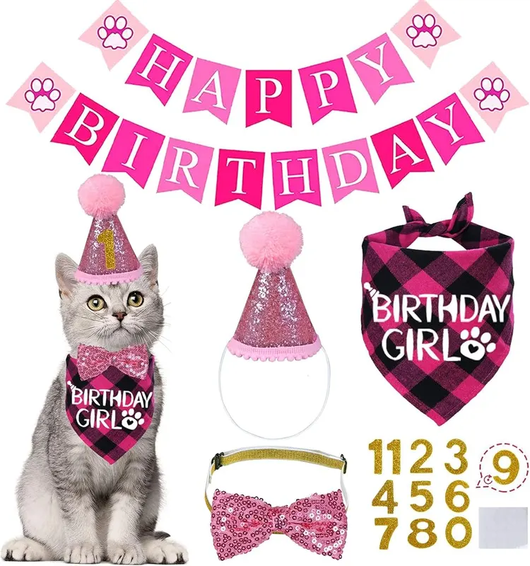 STMK Cat Birthday Decorations