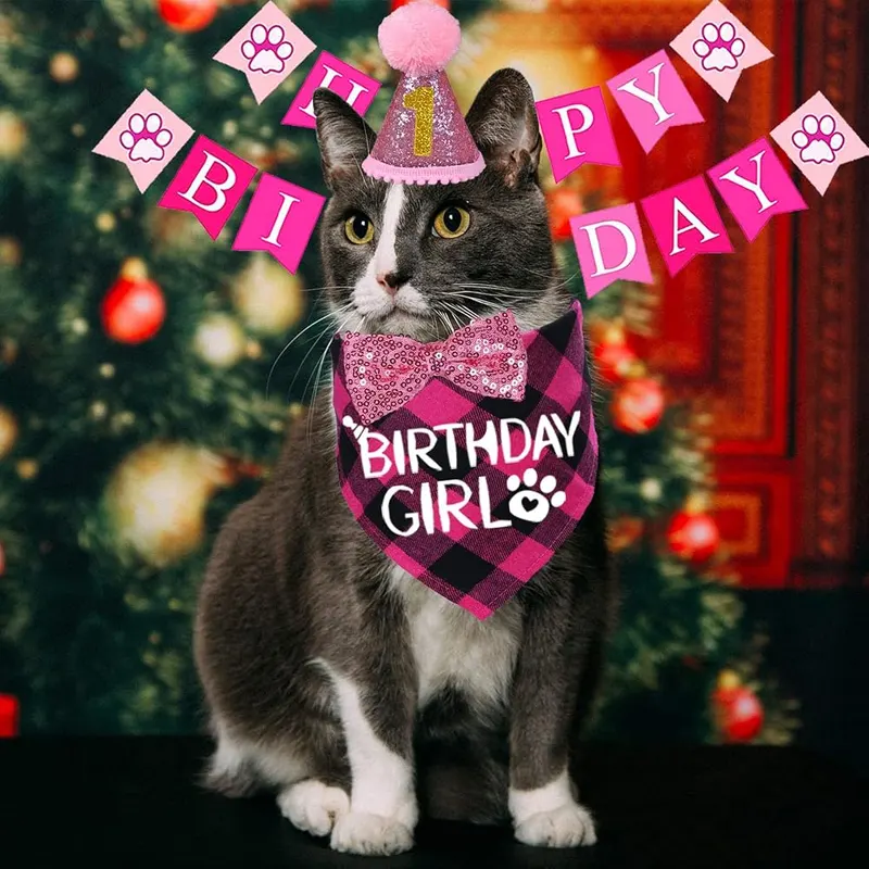 STMK Cat Birthday Decorations – Cat Birthday