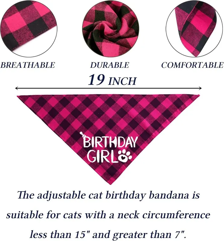 STMK Cat Birthday Decorations – Exclusive Custom Cat Birthday Hat