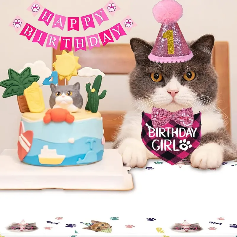 STMK Cat Birthday Decorations – product photo 7 of 7
