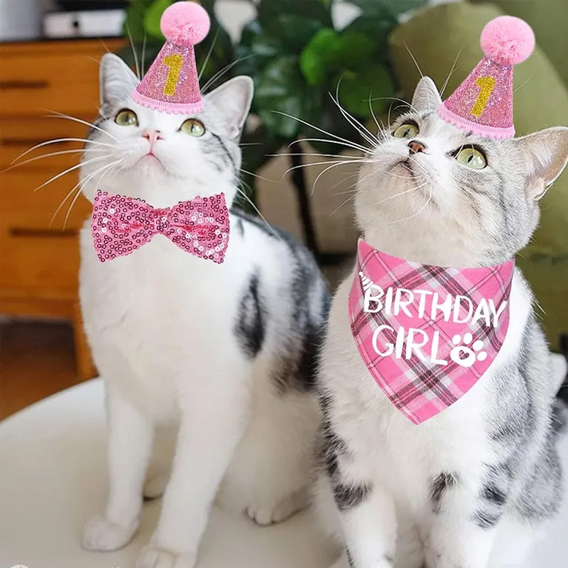 STMK Cat Birthday Party Supplies – Cat Birthday