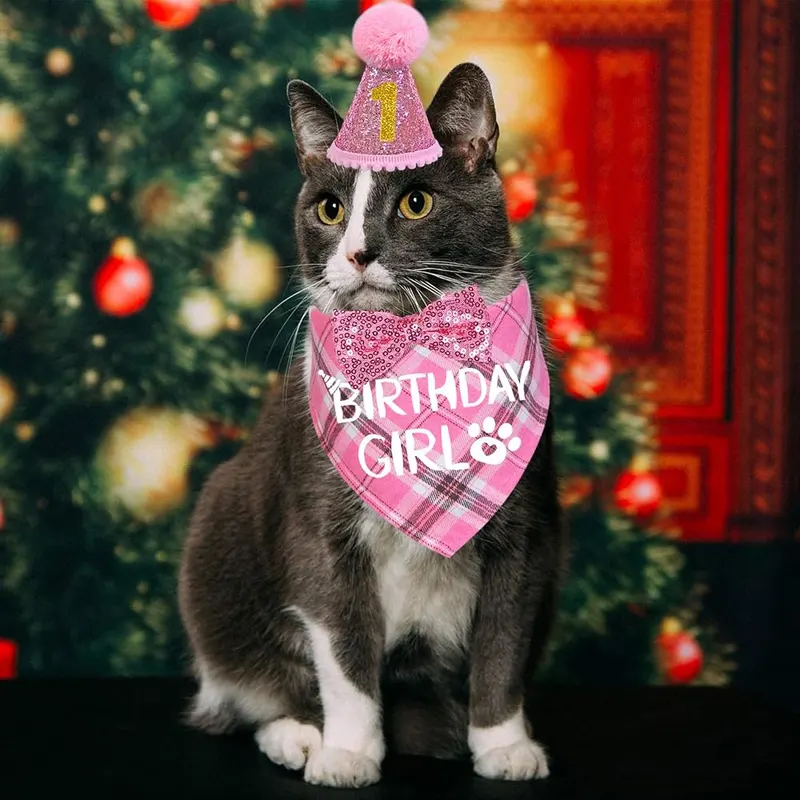 STMK Cat Birthday Party Supplies – High-Quality