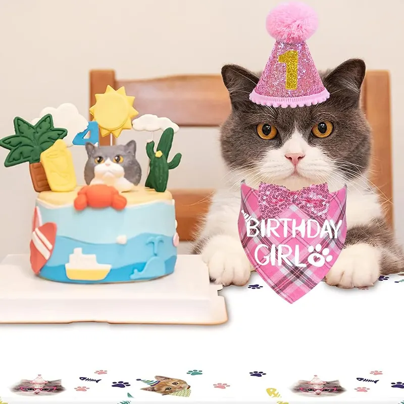 STMK Cat Birthday Party Supplies – product photo 7 of 7
