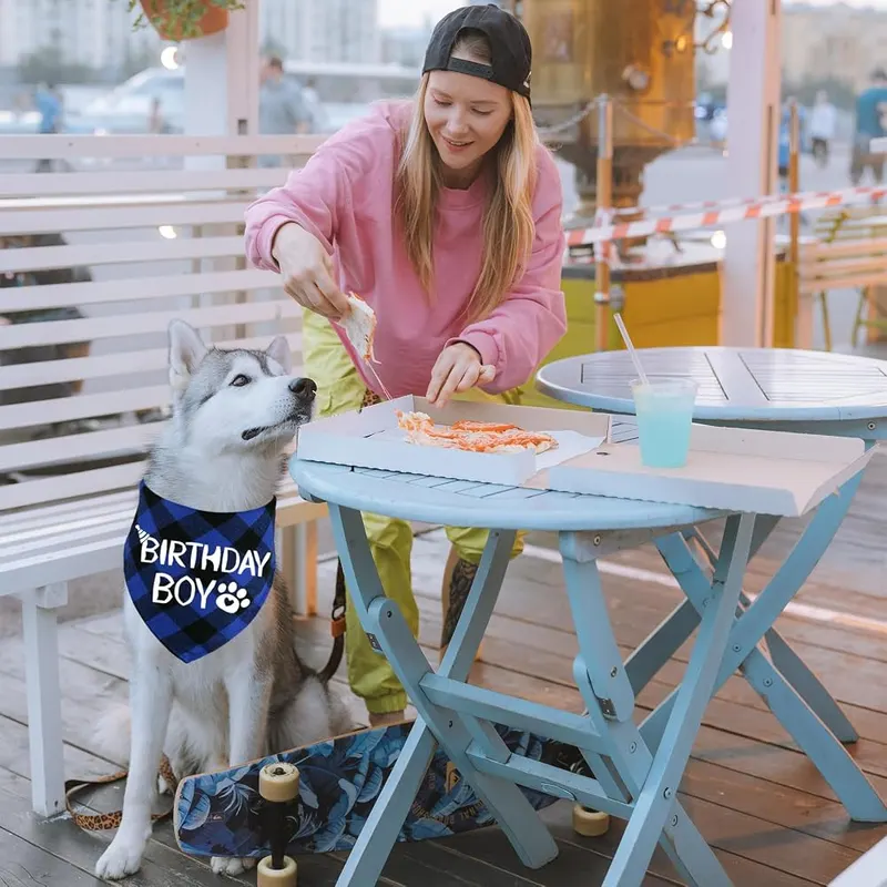 STMK Dog Birthday Bandana – High-Quality