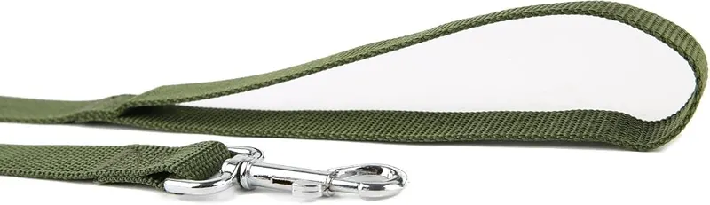 TAIDA Strong Nylon Dog Leash – 10 feet long dog leash give your beloved