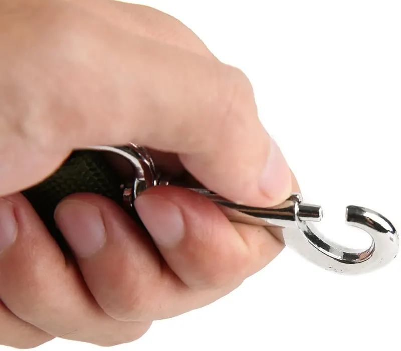 TAIDA Strong Nylon Dog Leash – Good quality metal hook let you quick release