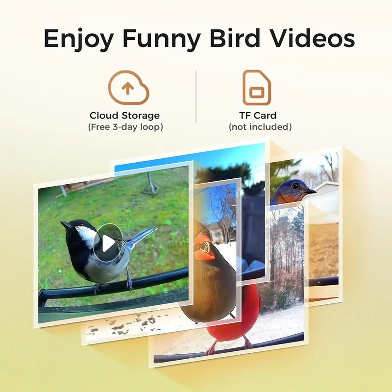 TT Nature Upgrade Squirrel-Proof Bird Feeder – AI species recognition alerts