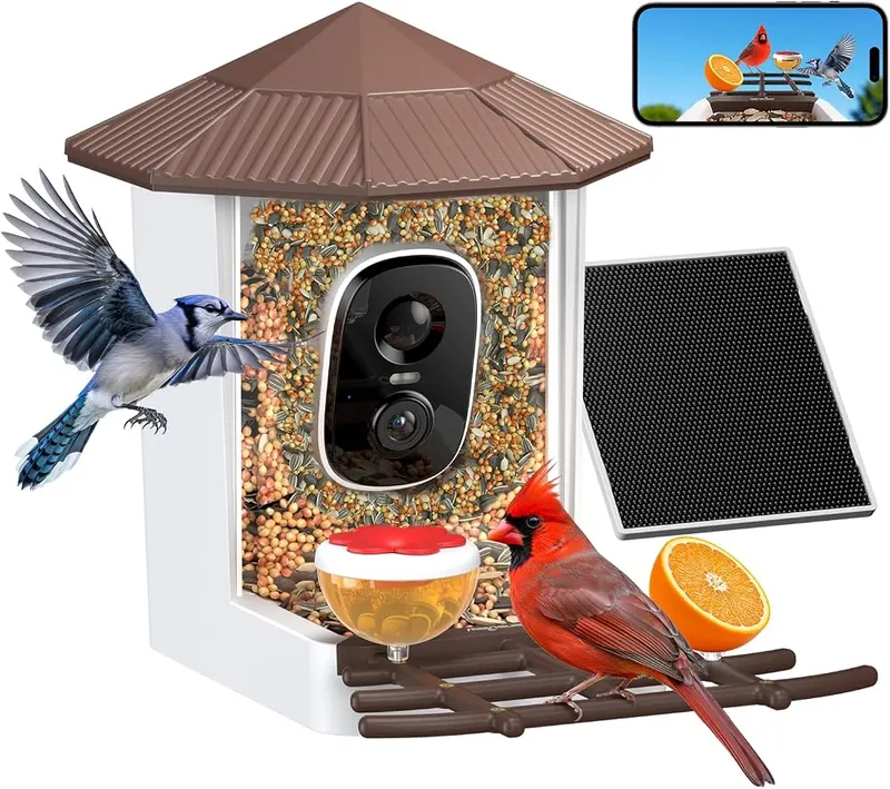 wansview 2K Bird Feeder