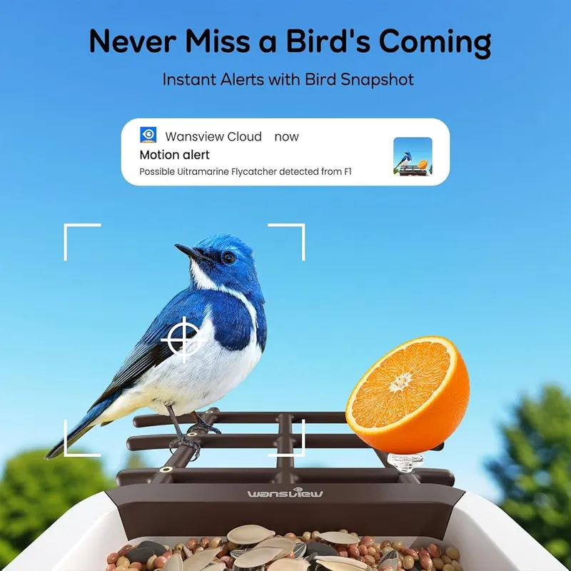 wansview 2K Bird Feeder – 2K live video camera