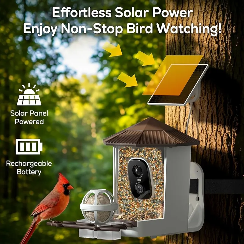 wansview 2K Bird Feeder – Alerts and AI species identification