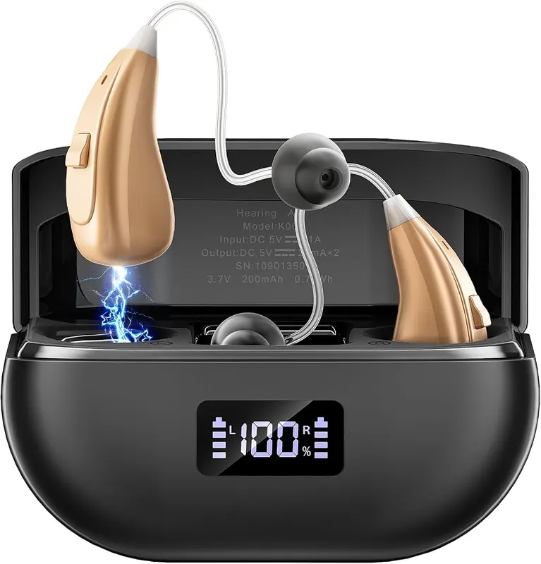 ZHANZHSQL OTC Hearing Aids in Blackish-silver
